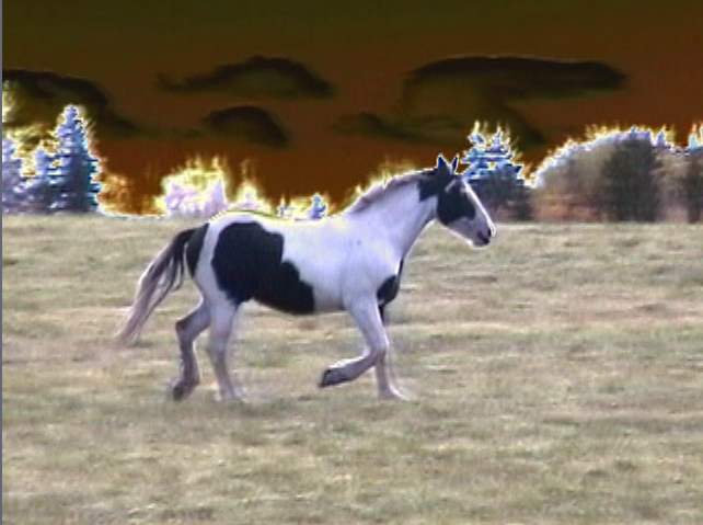 Whistling the Garry Owen.jpg